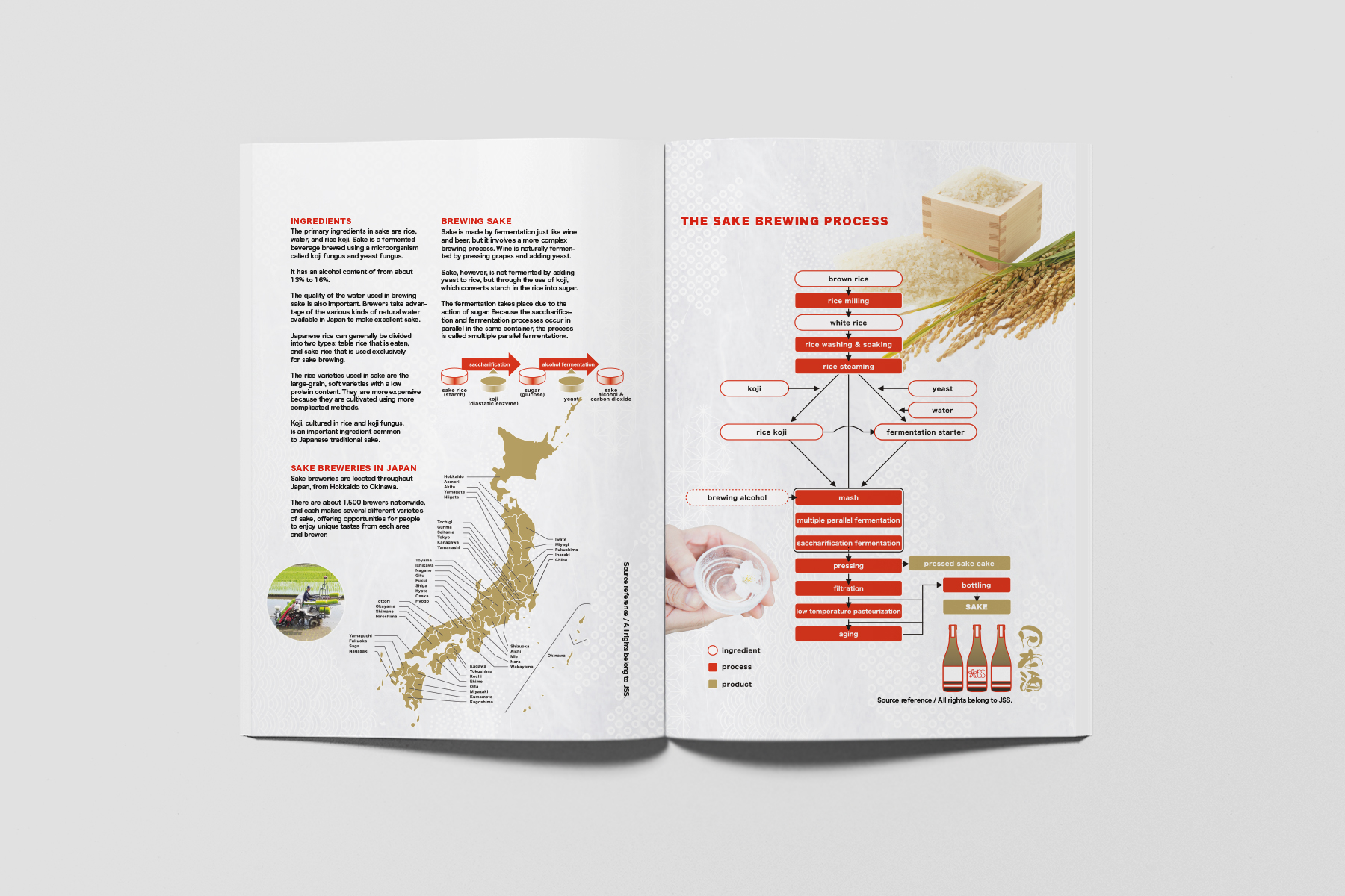 Anke Tashiro Editorial Design JSS