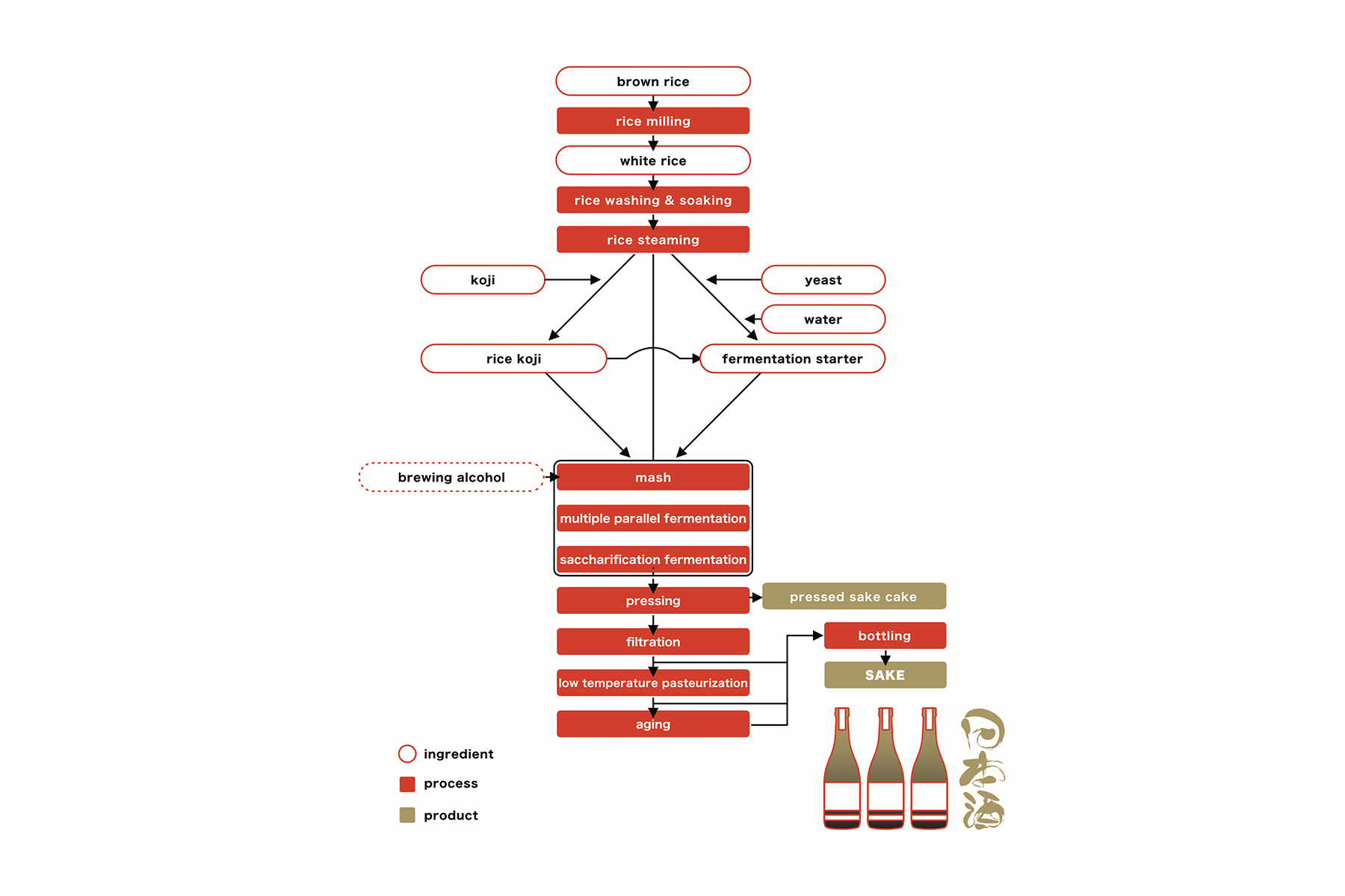Anke Tashiro Editorial Design JSS